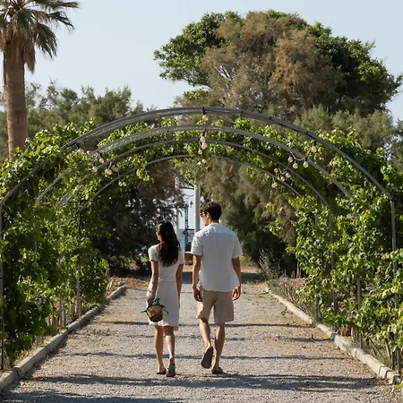 Creta Palace, A To Live 5* Rethymno (Crete)